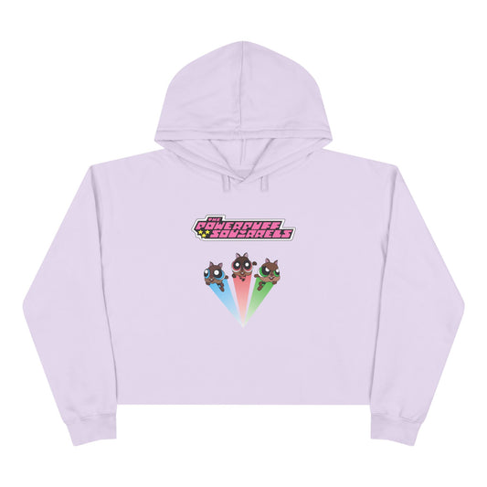 Powerpuff Squirrels Women's Cropped Hoodie